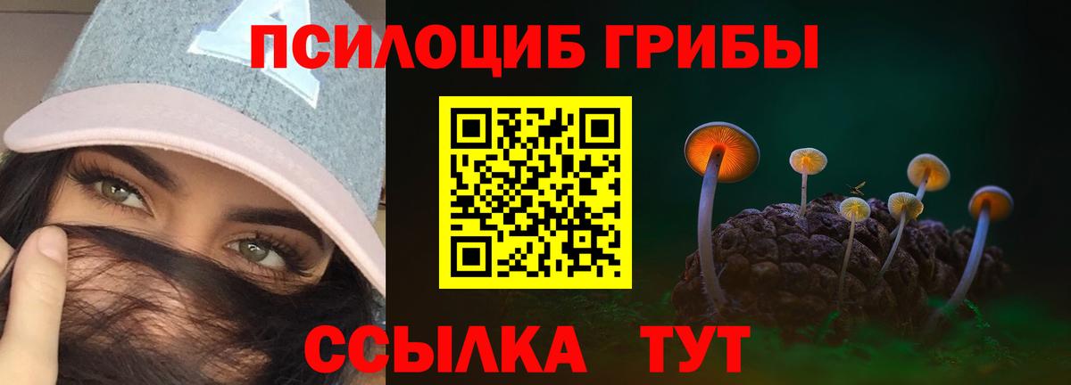 Галлюциногенные грибы Psilocybine cubensis  Галлюциногенные грибы Magic Shrooms  Мелеуз  Вход с VPN 